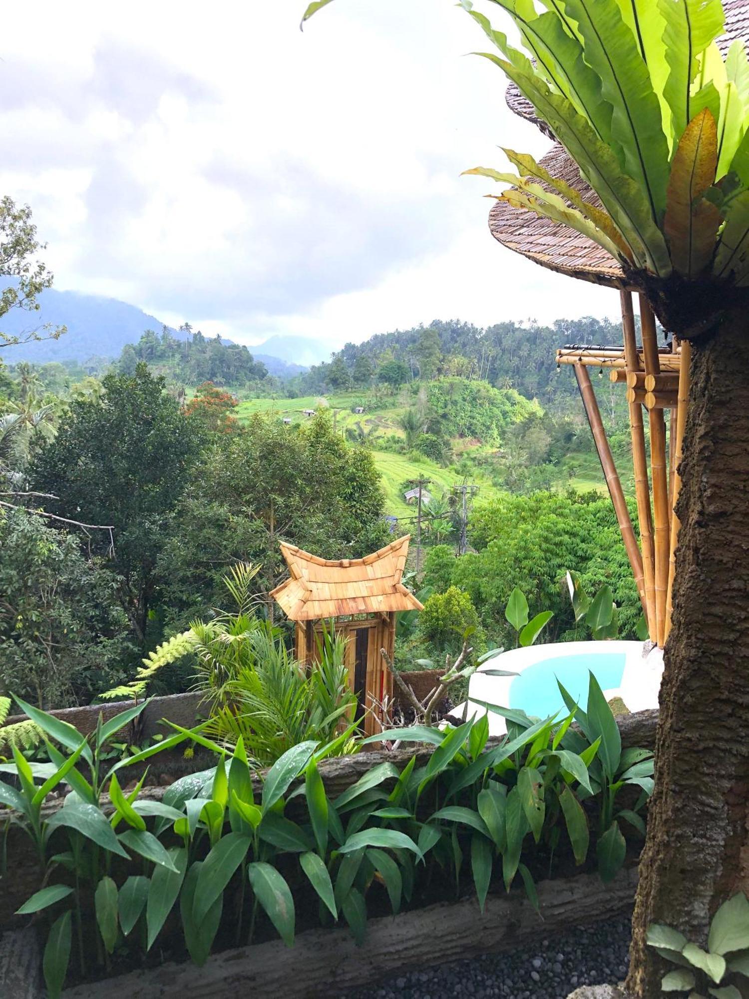 Danaswari Bali Bamboo House Villa Selat Luaran gambar
