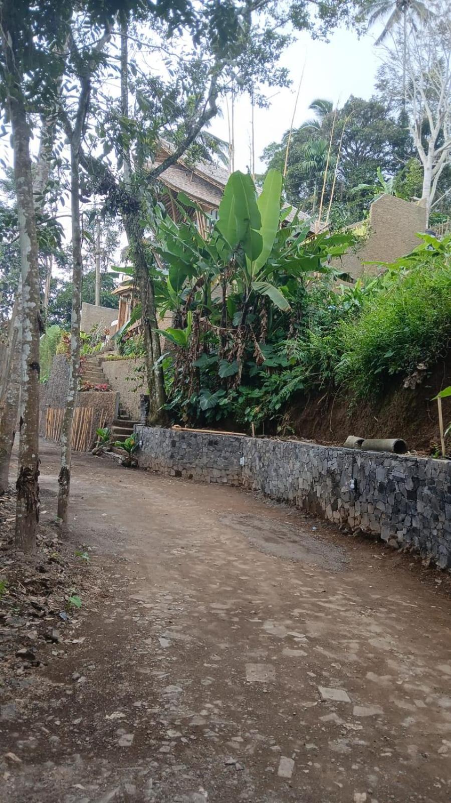 Danaswari Bali Bamboo House Villa Selat Luaran gambar